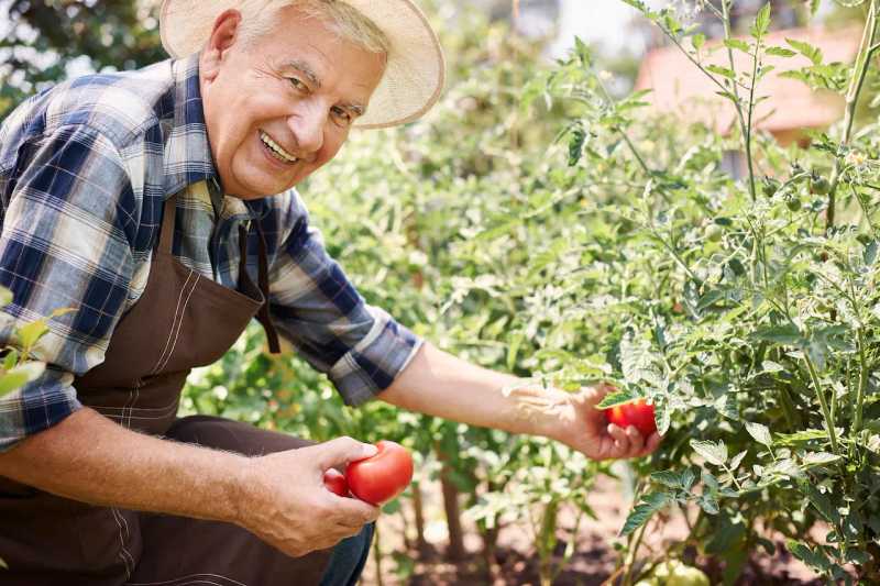 homme age agriculteur